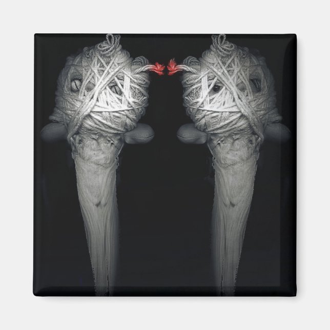 Brüder 2013 magnet (Vorne)