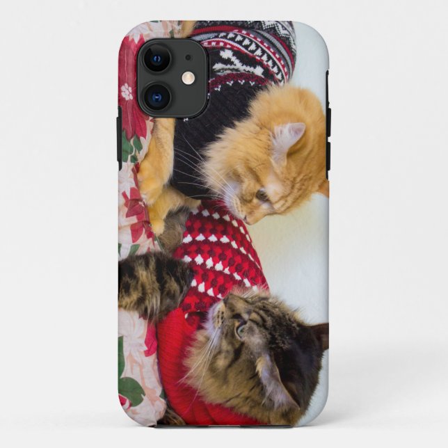 Brüder Case-Mate iPhone Hülle (Rückseite)