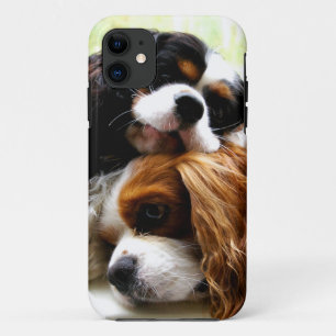 Bruder-Kavaliere iPhone 5/5S Fall 11 Hülle