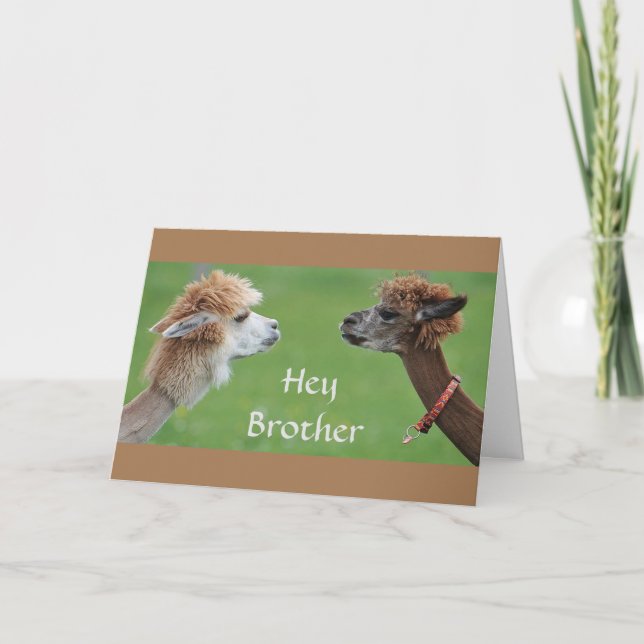 BRUDER SPASS FÜR MEIN FAV *SISTER* GEBURTSTAG! KARTE (Vorderseite)