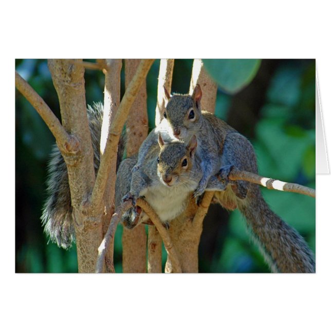 Bruderkarte der Liebe (Vorderseite (Horizontal))