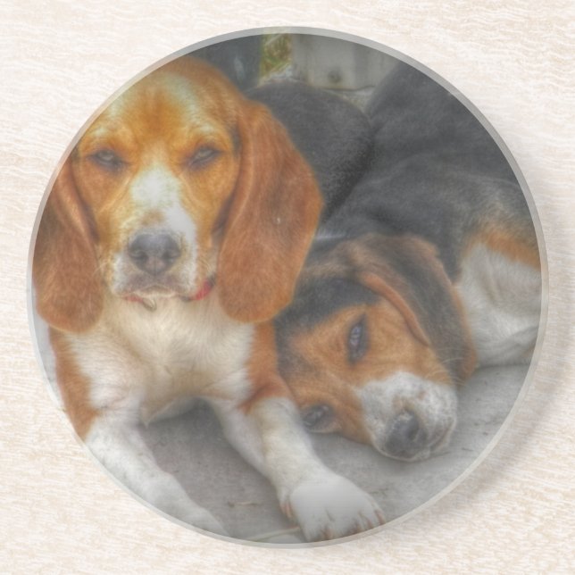 Brüderliche Beagles Getränkeuntersetzer (Vorne)