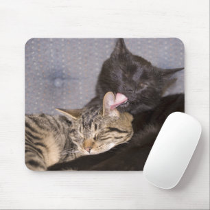Brüderliche Liebe Mousepad