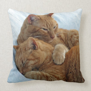 Brüderliches Liebe-Kissen Kissen