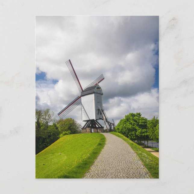 Brugge Windmill Postcard Postkarte (Vorderseite)