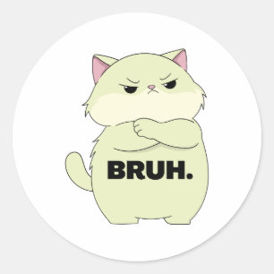 Bruh Kitty Aufkleber