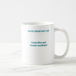 Bruise Cruise Fact #28: Costa Rica Tasse