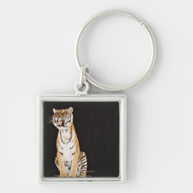 Brüllender Tiger Schlüsselanhänger (Vorne)