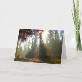 Brume de matin sur la carte de voeux de photo de