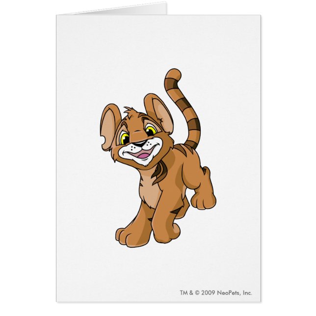 Brun de Kougra (Devant)
