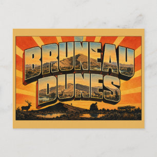 Bruneau Dunes Idaho Sanddüne Wüsten See Kunst Postkarte