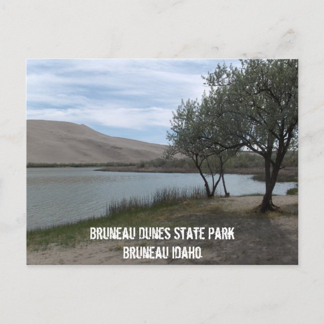 Bruneau Dunes Staat Park Postkarte (Vorderseite)