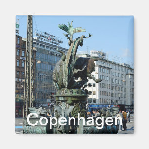 Brunnen am Platz des Rathauses in Kopenhagen Magnet