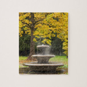 Brunnen durch einen Baum im Herbst, Deutschland