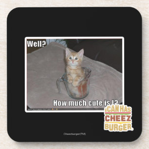 Brunnen? Getränkeuntersetzer