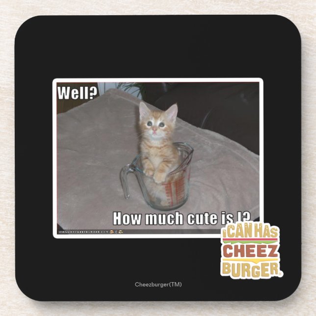 Brunnen? Getränkeuntersetzer (Vorderseite)