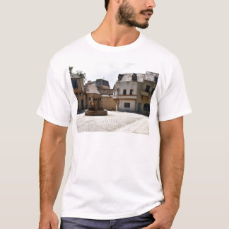 Brunnen in der alten Stadt T-Shirt