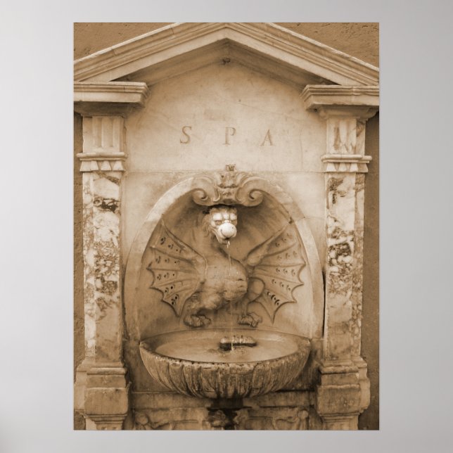 Brunnen in Rom Poster (Vorne)