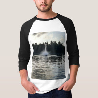 Brunnen T-Shirt