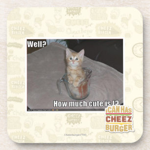 Brunnen? Untersetzer