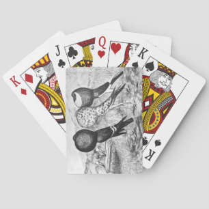 Brunner Pouter-Tauben Spielkarten