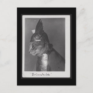 Brunnhilde Kätzchen Postkarte