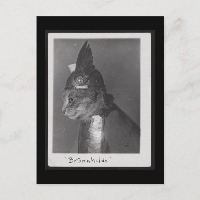 Brunnhilde Kätzchen Postkarte (Vorderseite)