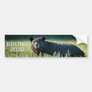 Bruno 2020 Autoaufkleber