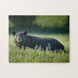 Bruno le Puzzle de l'ours