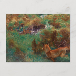 Bruno Liljefors - Fox Stalking Wilde Enten Postkarte