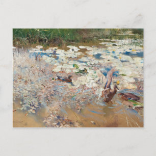 Bruno Liljefors - Wilde Enten Postkarte