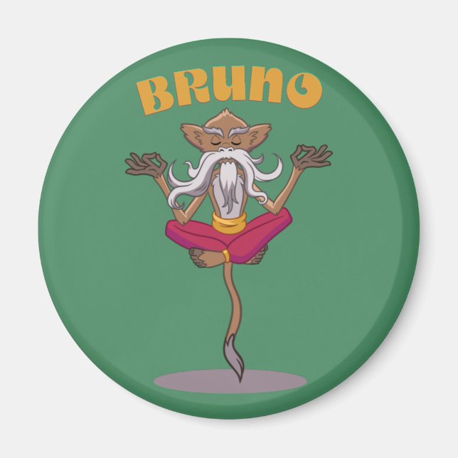 Bruno Magnet (Vorne)