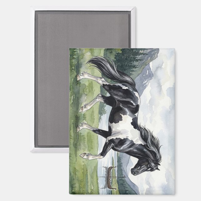 Brunskjottur Schwarzer Pinto Isländer Magnet (Vorderseite/Rückseite)