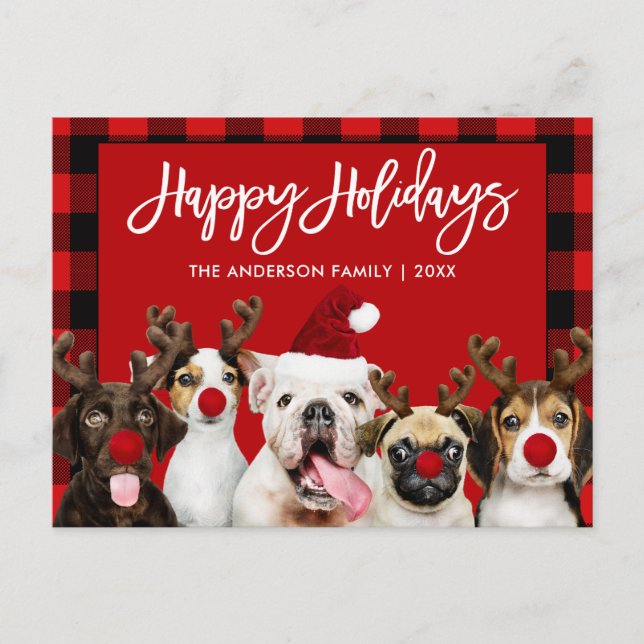 Brush Script Happy Holidays Hunde Rot Kariert Postkarte (Vorderseite)
