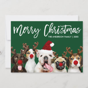 Brush Script Star Frohe Weihnachtshunde Grün Feiertagskarte