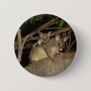 Brushtail Opossums Button