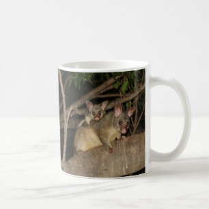 Brushtail Opossums Kaffeetasse