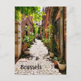 Brüssel - Belgien - altes Foto Postkarte