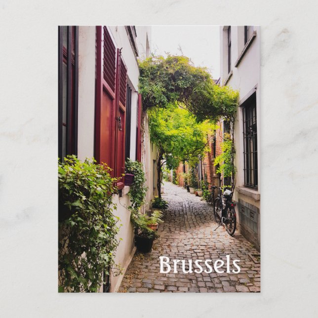 Brüssel Belgien Altstadt Foto Postcard Postkarte (Vorderseite)
