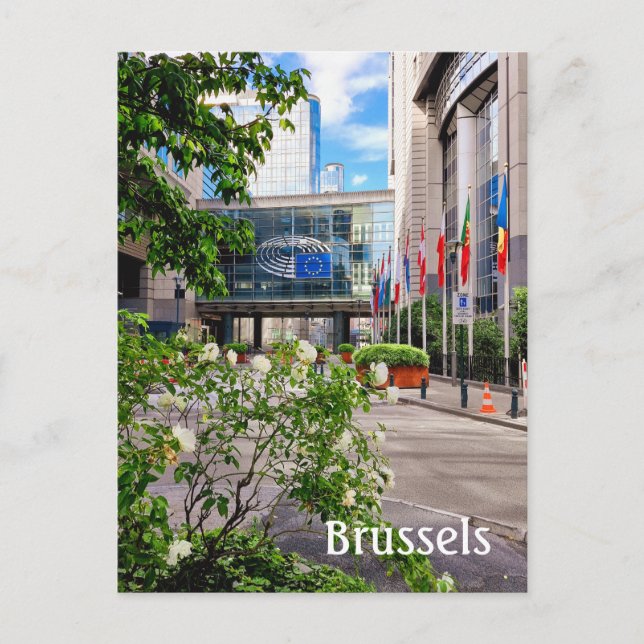 Brüssel Belgien Foto Postkarte (Vorderseite)