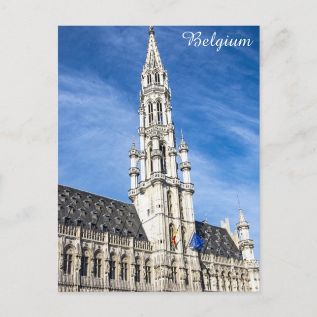 Brüssel Belgien Grand Place Travel Foto Postkarte (Vorderseite)