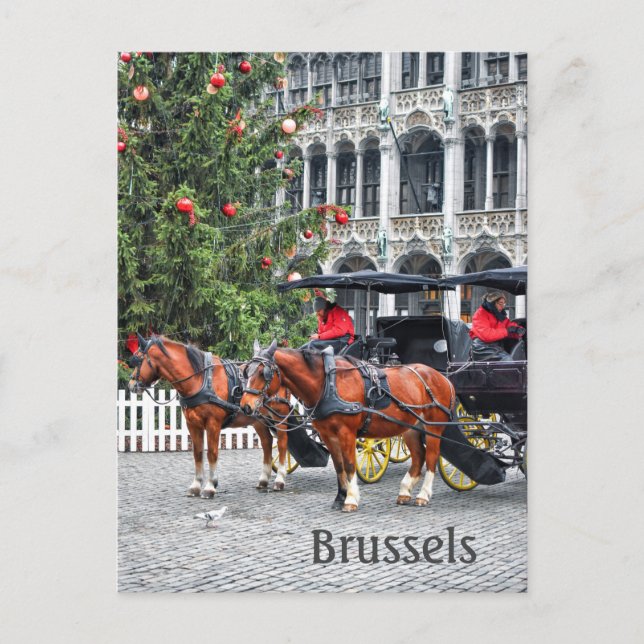 Brüssel Belgien Weihnachts-Foto Postkarte (Vorderseite)