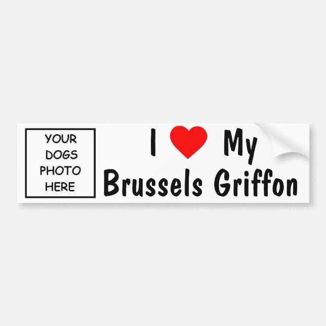 Brüssel Griffon Autoaufkleber (Vorne)