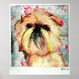 Brüssel Griffon Dog Portrait Poster