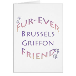 Brüssel Griffon Furever