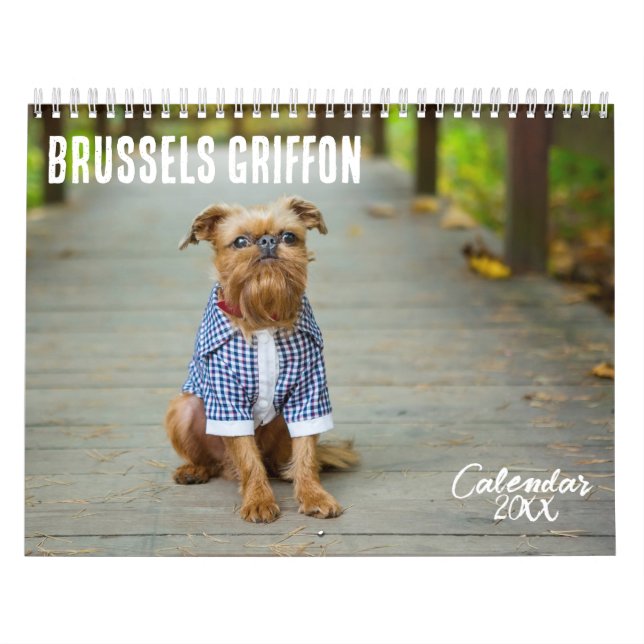 Brüssel-Griffon-Kalender 2026 Kalender (Titelbild)