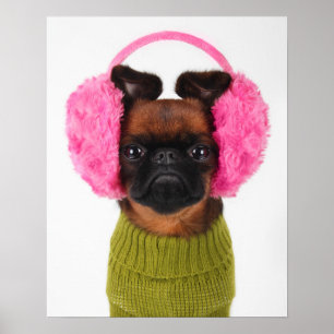 Brüssel Griffon mit rosa Earmuffs Poster