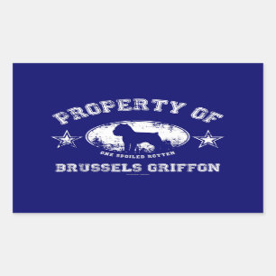 Brüssel Griffon Rechteckiger Aufkleber