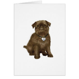 Brüsseler Griffon #2 (braun)