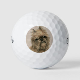 Brüsseler Griffon Golfball
